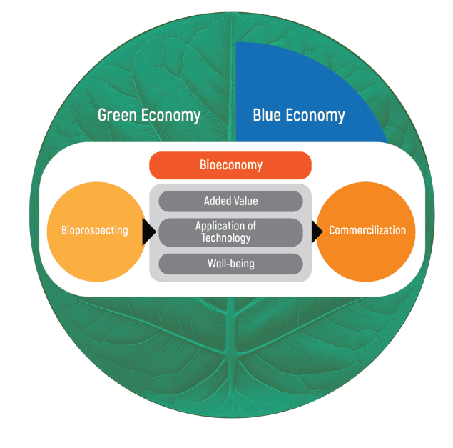 Bioeconomy framework: within the green and blue economy, bioprospecting leads through added value, application of technology and well-being to commercialization