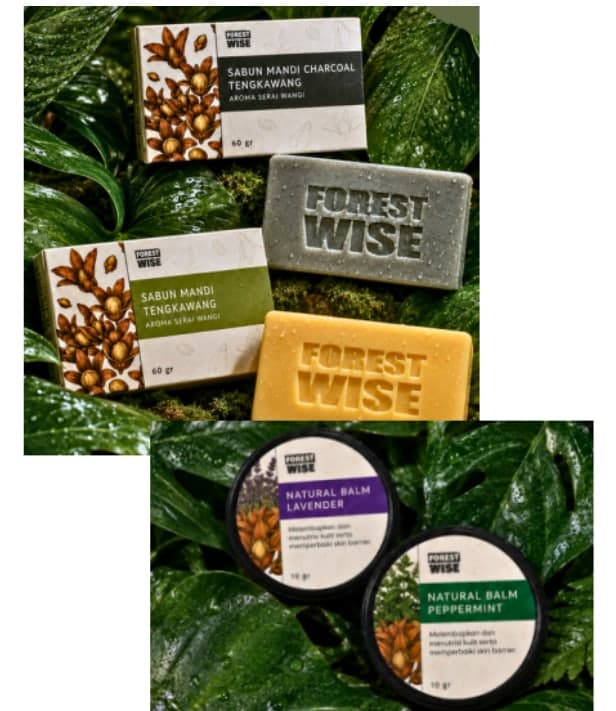Sabun mandi tengkawang dan natural balm (lavender dan peppermint) Forest Wise di antara dedaunan hijau