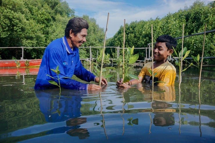 Dua orang menanam bibit mangrove di air